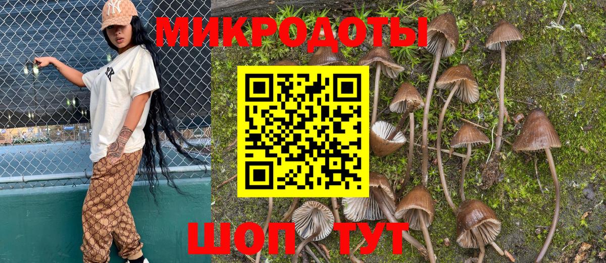 Псилоцибиновые грибы Cubensis  Вход с VPN  Екатеринбург 